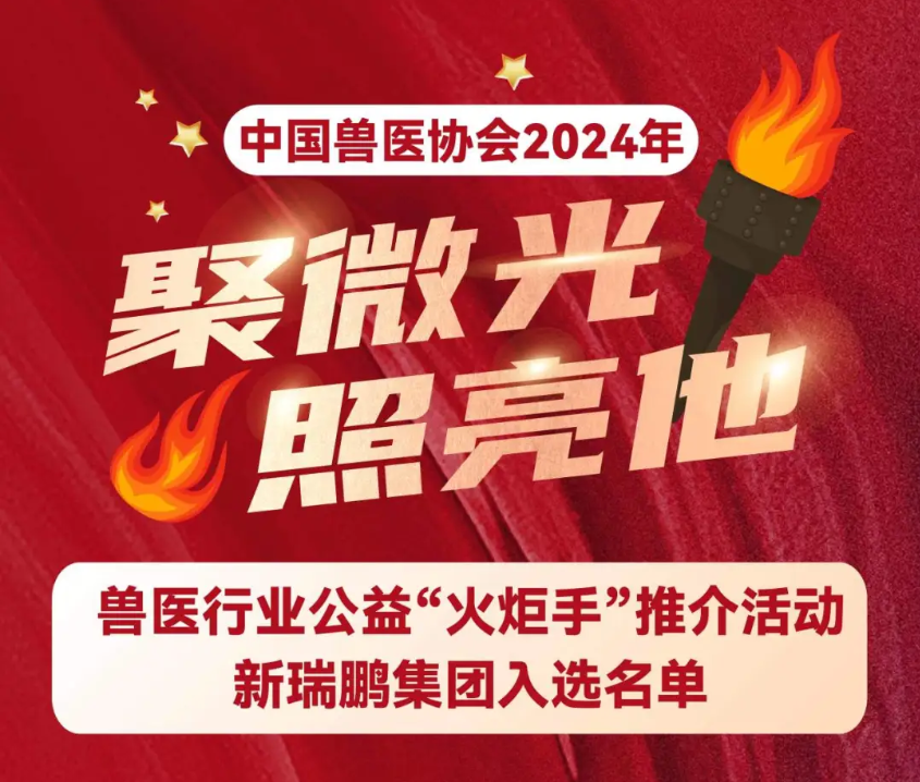 凯发k8国际首页登录旗下多个单位和个人成功入选行业公益“火炬手”，助力行业健康发展